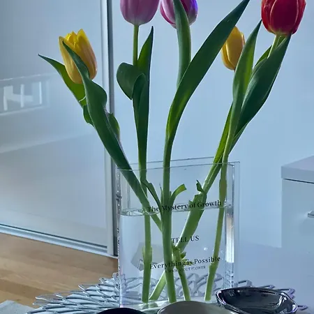 Cozy Flat In & Olympic Hall View Appartement Sarajevo