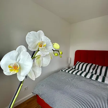 Cozy Flat In & Olympic Hall View * Sarajevo