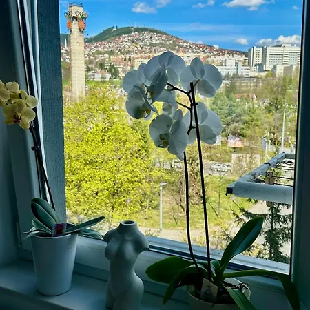 Cozy Flat In & Olympic Hall View * Szarajevó